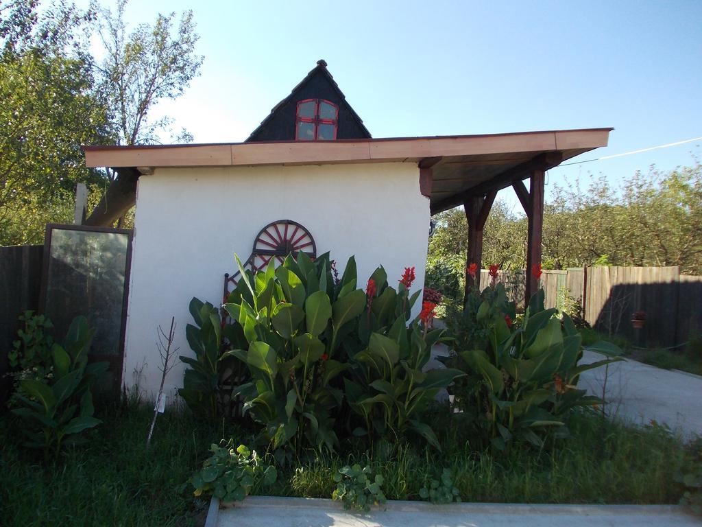 Legenda Anotimpurilor Alma Exterior foto